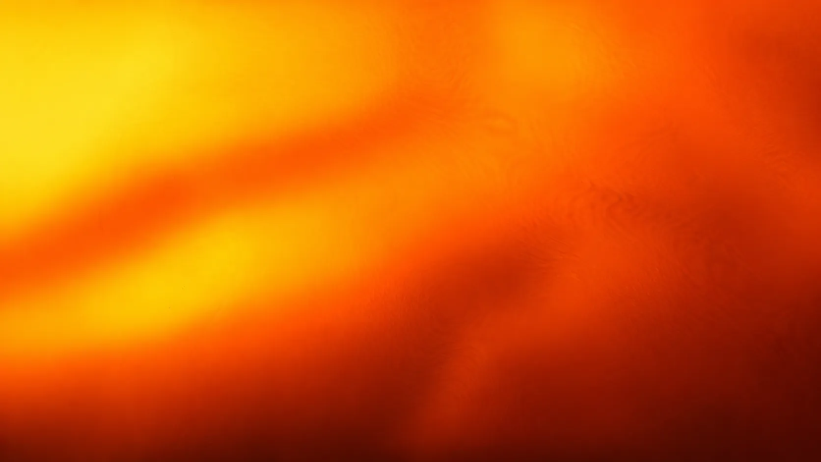 Fondo